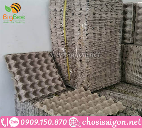 Cung cấp hộp giấy, khay giấy đựng trứng giá rẻ