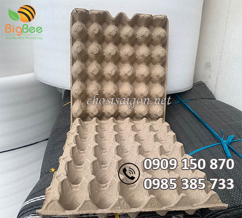 Khay giấy đựng trứng sỉ rẻ tại TP.HCM