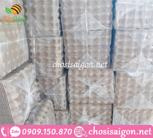 Vỉ giấy, khay giấy đựng trứng 30 quả giá siêu rẻ tại TP.HCM