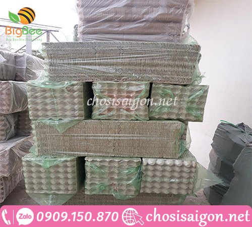 Khay giấy đựng trứng gia cầm xuất xứ Malaysia giá rẻ ưu đãi