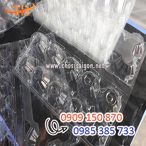 Hộp, khay, vỉ đựng trứng 10 quả các loại giá siêu rẻ