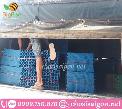 Thu Hồng nguồn cung cấp khay nhựa đựng trứng 30 quả giá rẻ