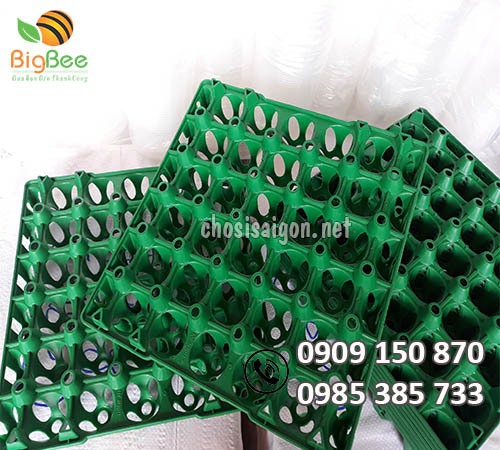 Khay nhựa đựng trứng 30 quả màu xanh giá rẻ