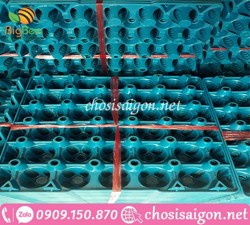 khay nhựa đựng trứng 30 quả các loại giá sỉ rẻ