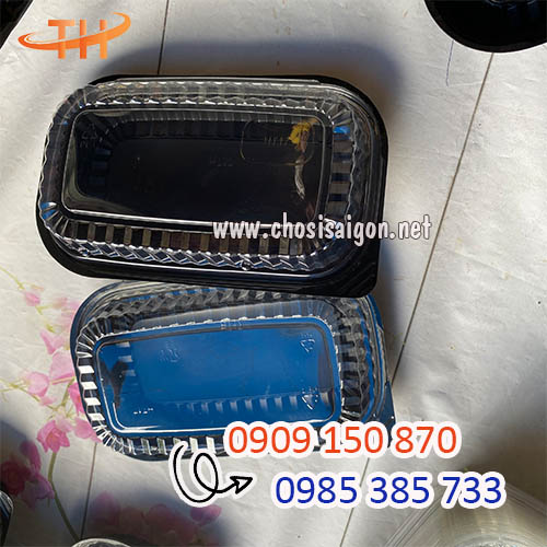 Khay nhựa đế đen HT17 1 ngăn giá sỉ rẻ tại kho