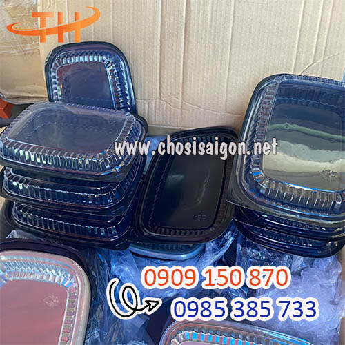 Khay nhựa HT203 đế đen nắp pet trong giá sỉ tại Bình Chánh, HCM
