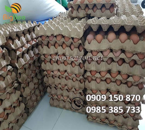 Khay vỉ giấy đựng 30 trứng giá rẻ tại nhà phân phối Thu Hồng