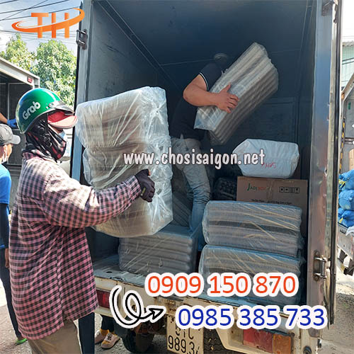 Giao sỉ tận nơi hộp, khay, vỉ đựng trứng cút giá rẻ