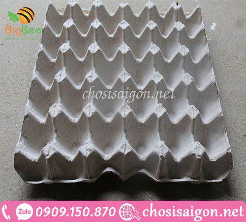 Khay, vỉ giấy đựng trứng các loại giá sỉ rẻ ưu đãi