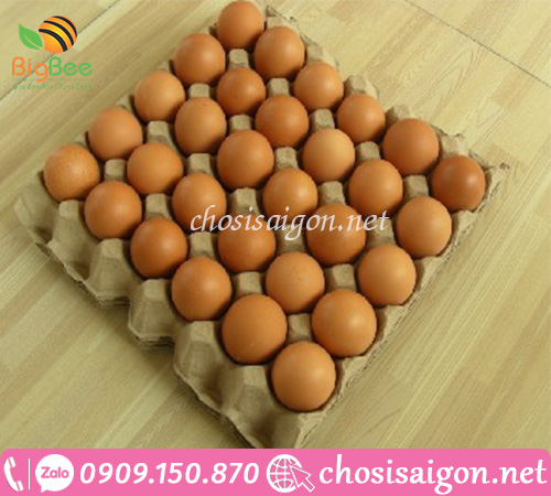 Cung cấp khay vỉ trứng giấy gia cầm giá sỉ ưu đãi