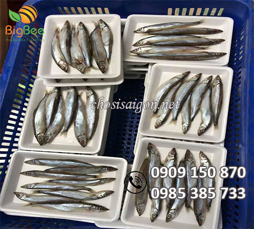 Đựng cá, hải sản bằng khay xốp dùng 1 lần