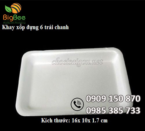 Sỉ rẻ khay xốp đựng chanh 6 trái
