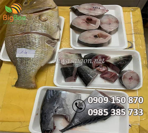 Khay xốp đựng thịt cá, hải sản dùng 1 lần sỉ rẻ