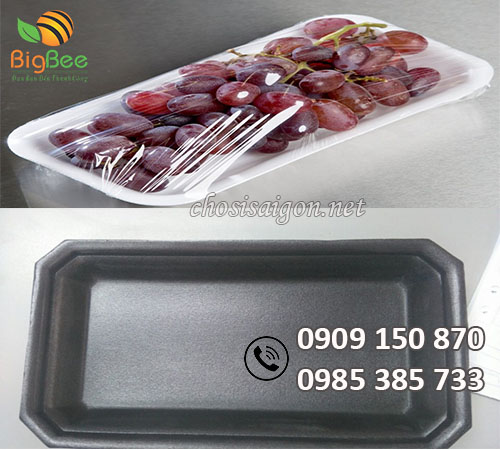 Khay xốp đựng thực phẩm hoa quả sỉ rẻ, giao hàng tận nơi