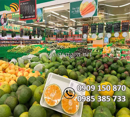 Gía rẻ khay xốp đựng trái cây sạch