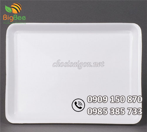 Đựng thực phẩm khay xốp M40