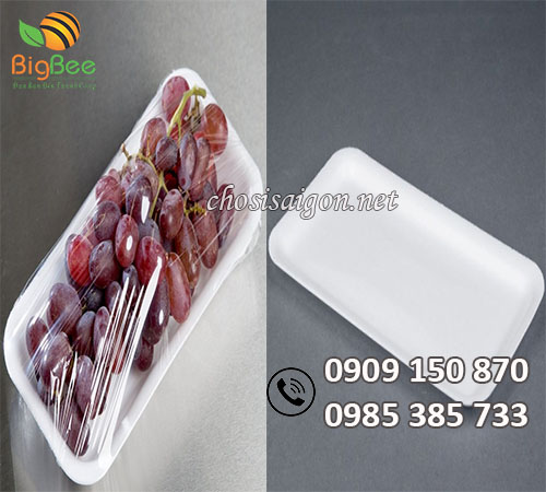 Khay xốp trắng đựng trái cây giá sỉ rẻ