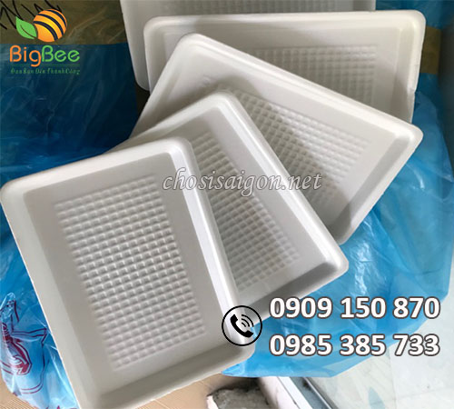 Khay xốp viền sọc hoa văn giá ưu đãi