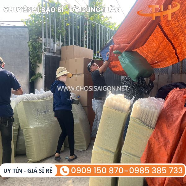 Vỉ nhựa đựng trứng 10 quả sẵn kho số lượng lớn