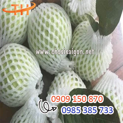 Lưới xốp bọc ổi chất lượng tốt giá sỉ bao 5 ký