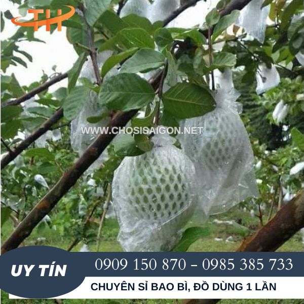 Xốp lưới trắng bọc ổi giá sỉ rẻ