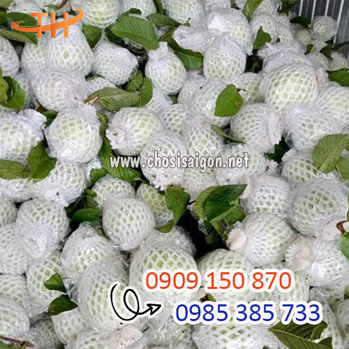 Lưới xốp bọc ổi lồng sẵn sỉ giá rẻ freeship HCM