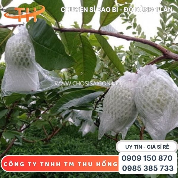 Xốp lưới trắng bọc trái cây có đủ size