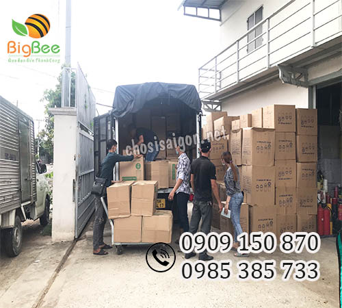 Kho sỉ số lượng lớn ly nhựa pet, ly nhựa pp giá sỉ rẻ