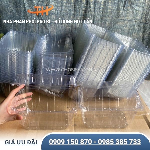 Hộp nhựa đựng trái cây 1kg có lỗ thoáng khí