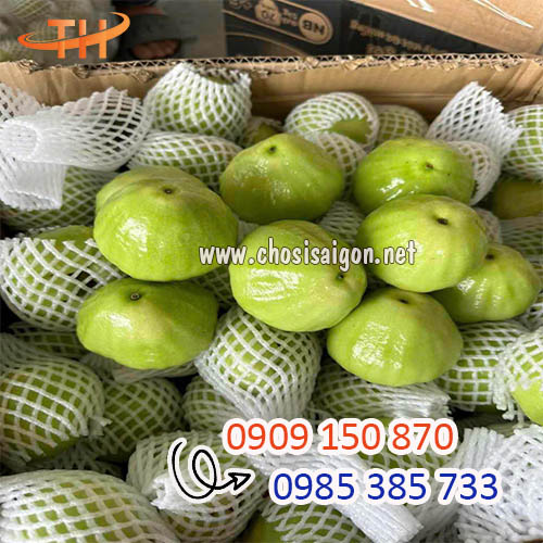 Lưới xốp trắng bọc trái cây chất lượng sỉ rẻ