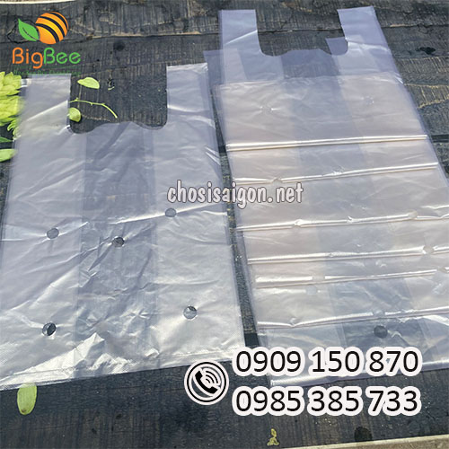 Túi 2 quai đục lỗ đựng nông sản giá rẻ nhất TP.HCM