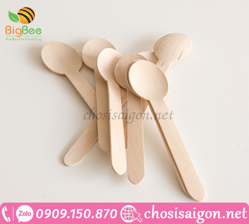 Muỗng gỗ dùng 1 lần các loại giá sỉ rẻ tại TP.HCM