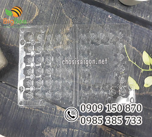 Vỉ nhựa đựng trứng cút 30 quả ấn nút giá rẻ, giao hàng nhanh
