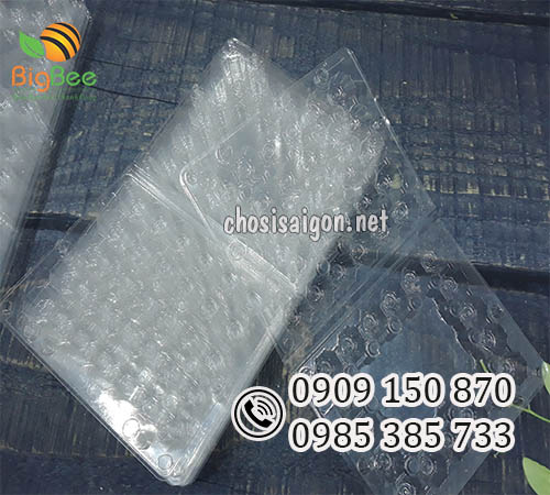 Vỉ nhựa đựng trứng cút 30 quả có nút gài chắc chắn giá rẻ HCM