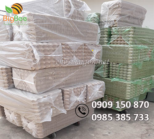 Nhà phân phối khay giấy đựng trứng giá rẻ