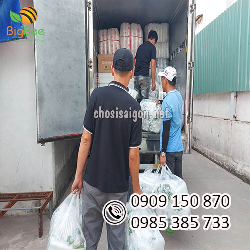 Ly nhựa 700ml sẵn kho giá rẻ tại nhà cung cấp