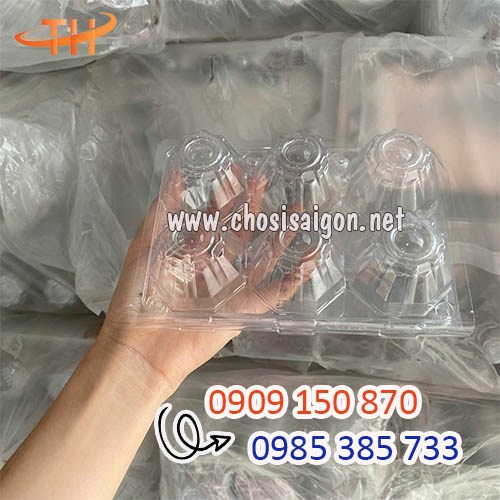 Vỉ nhựa đựng trứng 6 quả loại nút gài giá sỉ rẻ