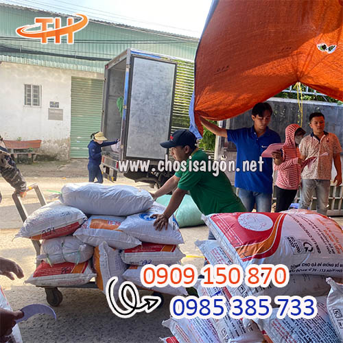 Sẵn kho túi nilon 2 quai giao tận nơi