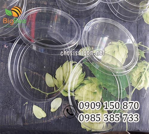 Hộp nhựa tròn mica an toàn, chất lượng giá sỉ rẻ tại TP.HCM