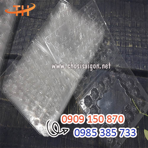 Khay, vỉ, hộp đựng trứng cút 30 quả giá siêu rẻ