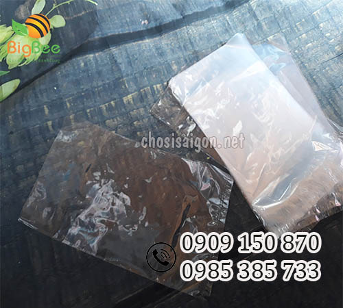 Túi bóng kính pp nhiều cỡ giá rẻ tận xưởng