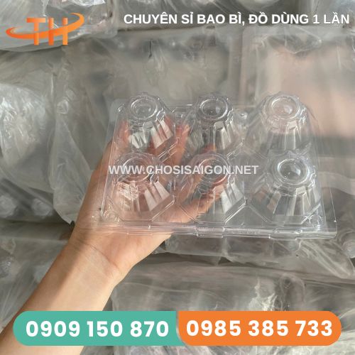 Vỉ nhựa đựng trứng muối, bắc thảo 6 quả
