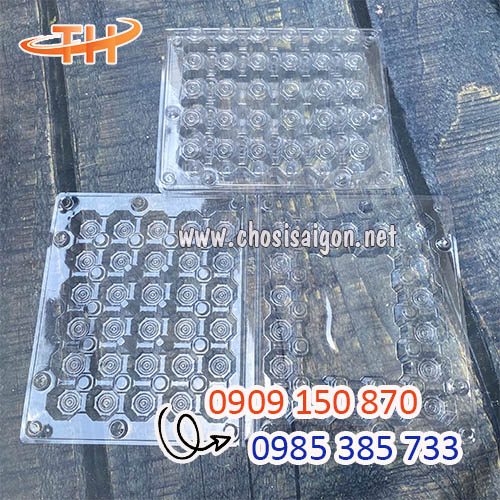 Vỉ nhựa đựng trứng cút 30 lỗ giá sỉ tận xưởng