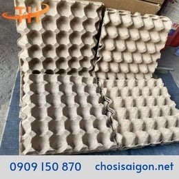 VỈ GIẤY – KHAY GIẤY ĐỰNG TRỨNG, NUÔI DẾ