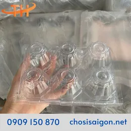 VỈ NHỰA ĐỰNG TRỨNG 6 QUẢ