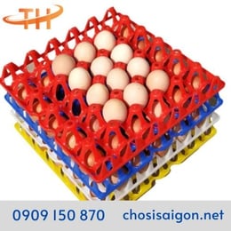 VỈ NHỰA PP ĐỰNG TRỨNG GÀ VỊT 30 QUẢ