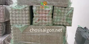 VỈ GIẤY – KHAY GIẤY ĐỰNG TRỨNG GIÁ SIÊU RẺ TẠI TP.HCM