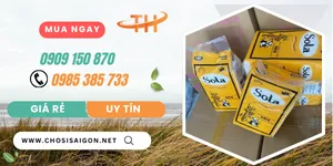 Nơi bỏ sỉ giấy rút treo tường giá rẻ nhất