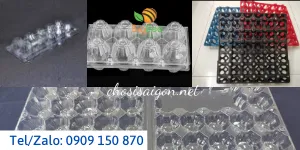 Hộp – khay – vỉ nhựa đựng trứng giá rẻ