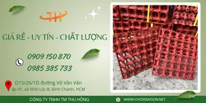 Tìm khay đựng trứng 30 quả bằng nhựa giá tốt tại TP.HCM